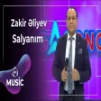 Zakir Əliyev - Salyanım