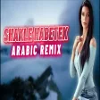 Elsen Pro & Furkan Demir - Shakle Habetek