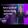 Aynur Qarabağlı - Gülüm harda qalmısan