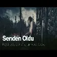 Psychedelic Anatolian Rock Cover - Senden Oldu