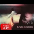 Aylak - Hayatın Hayatımda