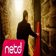 Febyo Taşel - Kabuk