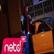 Nefboii - Türko