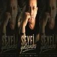 Seyfi Yalçınses - Sana Yazsam Her Şarkımı