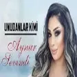 Aynur Sevimli - Unudanlar Kimi (YUKLE)