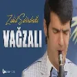 Zahid Sabirabadli – Vagzali