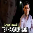 Rovsen Bineqedili - Tenha Qalmisam