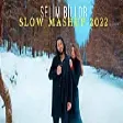 Selim Billor - SLOW MASHUP 2022