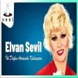 Elvan Sevil - İki Dağın Arasında Kalmışam