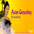 Azize Gencebay - Bir Teselli Ver