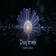 Hüseyin Çebişci - Düş'mek