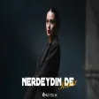 ŞEVVAL - Nerdeydin De (Onur Colak Remix)
