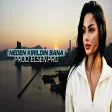 Elsen Pro - Kırıldın Bana