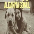 Aldanma Gönül (70s Psychedelic Anatolian Rock Cover)