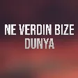 Elnur Valeh Vefa Serifova - Ne Verdin Bize Dunya mp3 yukle