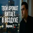 Rauf Tagiyev - Твой аромат витает в воздухе (Version 2) tvoy aromat vitaet v vozduxe etrin duyulur