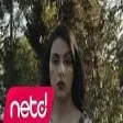 Güçlü Soydemir - Gülüm