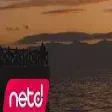 The Nova - Yeniden