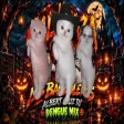 La Calabaza 🎃 (Dengue MixLos Bandoleros x Albert Cruz Dj Visualizer