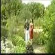 Sayyad Alizade - Beyaz Geceler (YUKLE)