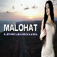 Elsen Pro - Malohat