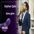 Ceyhun Qala - Bir möcüzə