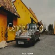 Cengiz Kurtoğlu - Seni Seveli ( Halil Yıldırım Remix )