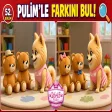 Pulim - Pulim'le Farkını Bul