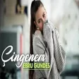 Ebru Gündeş - Çingenem (Furkan Kılınç Remix)