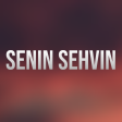 Cahan Qrupu - Senin Sehvin mp3 yukle