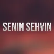 Cahan Qrupu - Senin Sehvin mp3 yukle