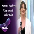 Kəmalə Nəsibova - Yarım gəlir asta-asta
