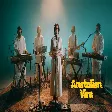 Anatolian Vira - Ne Ağlarsın Benim Zülfü Siyahım (Psychedelic)