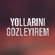 Ulviyye Namazova - Yollarini Gözleyirem mp3 yukle