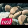 Zeo - Camdan Kadın