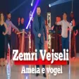 Zemri Vejseli - Amela e vogël (Official Audio)