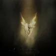 Elif Vurgun & Aron Tanie - Yalan