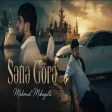 Mahmud Mikayıllı - Sene Gore