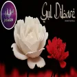 Mehmet Seyitoğlu - Gül Dıbare (İlahi)
