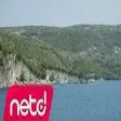 Plain Double - İzmir'in Kavakları