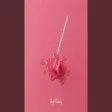 Soft Candy