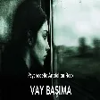 Vay Başıma Psychedelic Anatolian Rock Cover