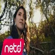 Ceylan Gaygusuz - Dağlar