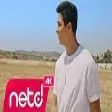 Sezer Sarıgöz - Mecburen