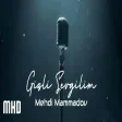 Mehdi Mammadov - Gizli Sevgilim (Vocalized by Al