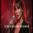 Ankara Echoes - Ta Ki Seni Görene Kadar