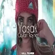 Ceylan Koynat - Yasak ( Halil Yıldırım Remix )