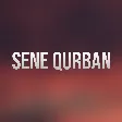 Ilkin Dovletov - Qal Sene Qurban mp3 yukle
