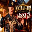 🔥NICOLAE GUTA🔥 - ❤️ VOCEA TA ❤️ NOU HIT