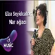 Elza Seyidcahan - Nar ağacı